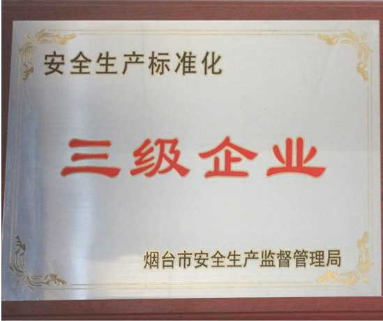 安全标准化三级企业